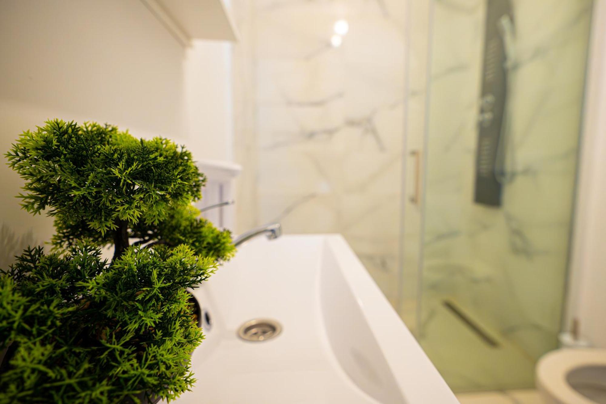 Aly&Emy Villa Caransebeş Екстериор снимка